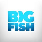 Big Fish Games Promo Codes & Coupons