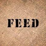 FEED Projects
