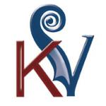 Kennedy Violins Promo Codes