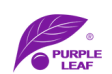 Purple Leaf Promo Codes