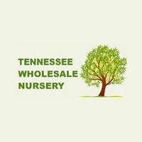 Tennessee Wholesale Nursery Promo Codes