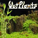 Wetplants Promo Codes